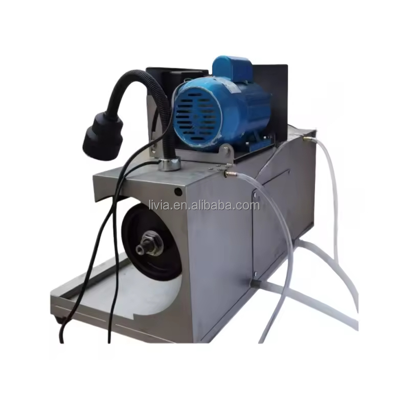 Lapidary Polishing Gemstone Ca - Jewelry Making Machines ulasan dan harga